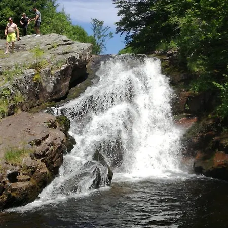 Prázdninový dům Panic