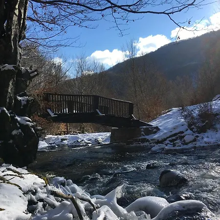 Panic Tatil Evi Pirot