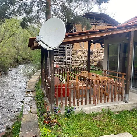 Vakantiehuis Panic Pirot